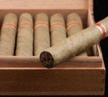 Le Cigare du Costa Rica : Culture et Fabrication