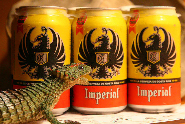 Canettes Bière Imperial Costa Rica