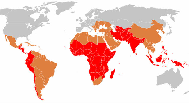 Carte de la fièvre typhoïde