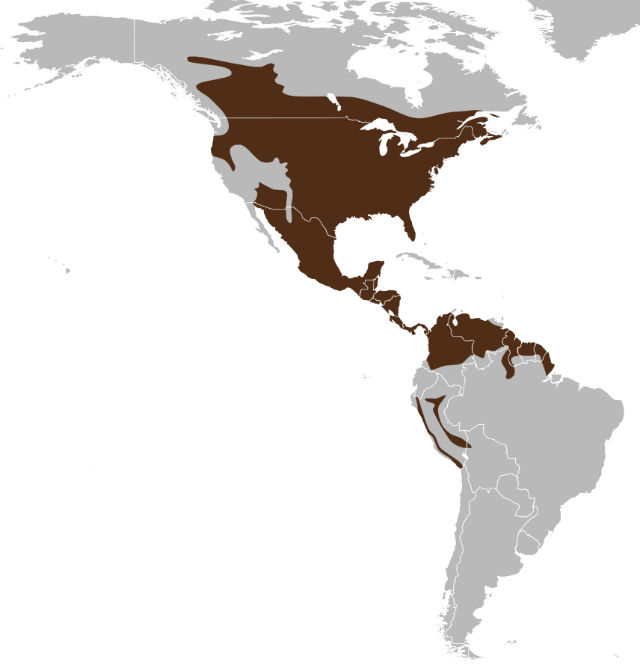 Carte de répartition du Cerf de Virginie